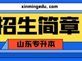 招生简章丨20所院校公布2024年山东专升本招生简章