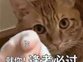 招生简章丨新增9所院校公布2024年山东专升本招生简章