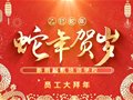2025丨祝大家新年快乐，巳巳如意！